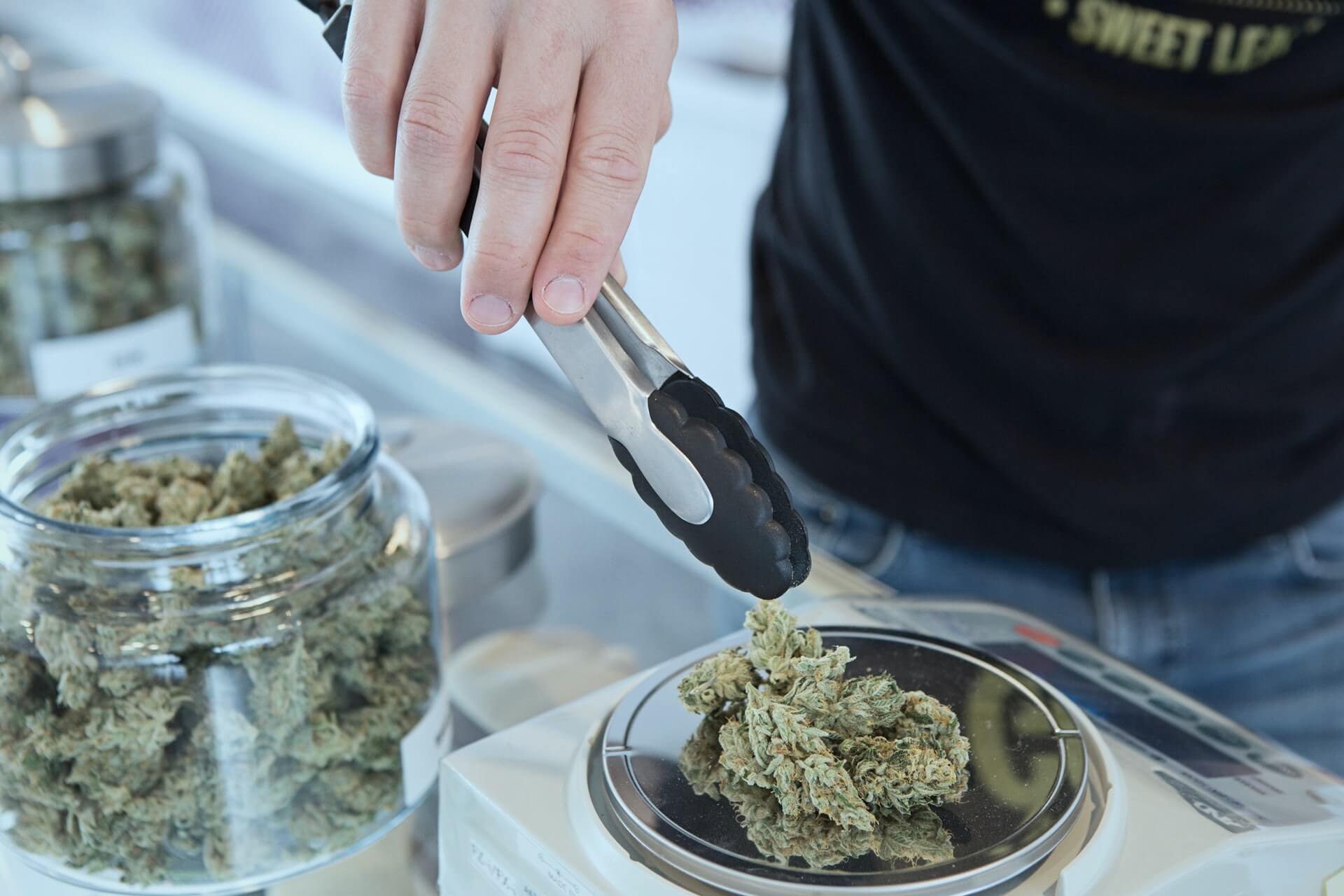 Develop standard operating procedures and steps to opening a dispensary