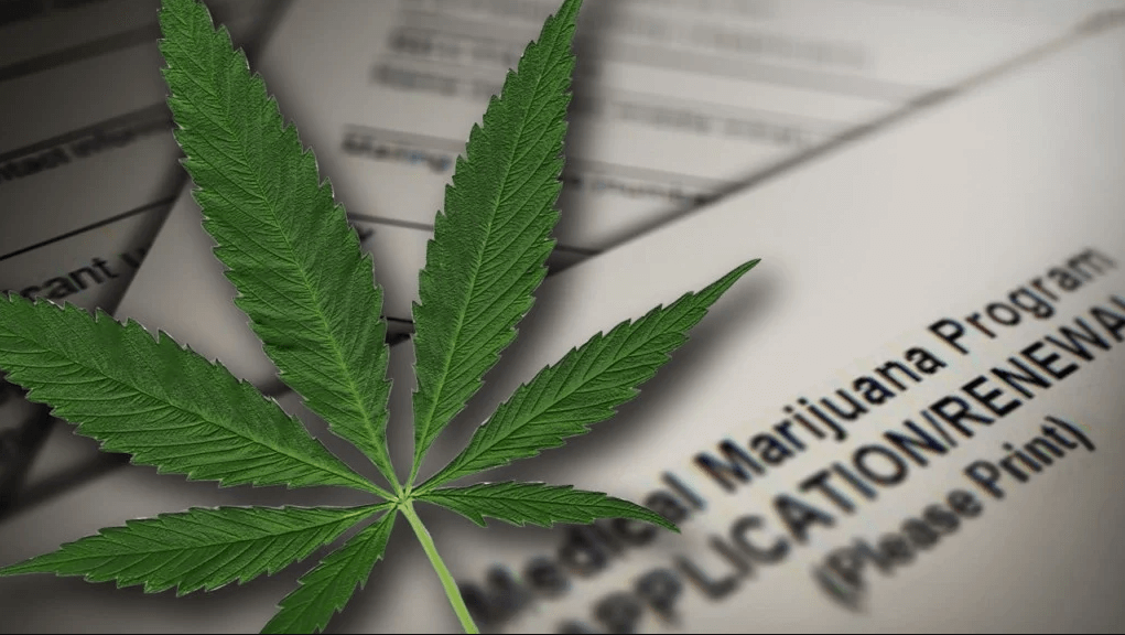 How to get a weed dispensary license
