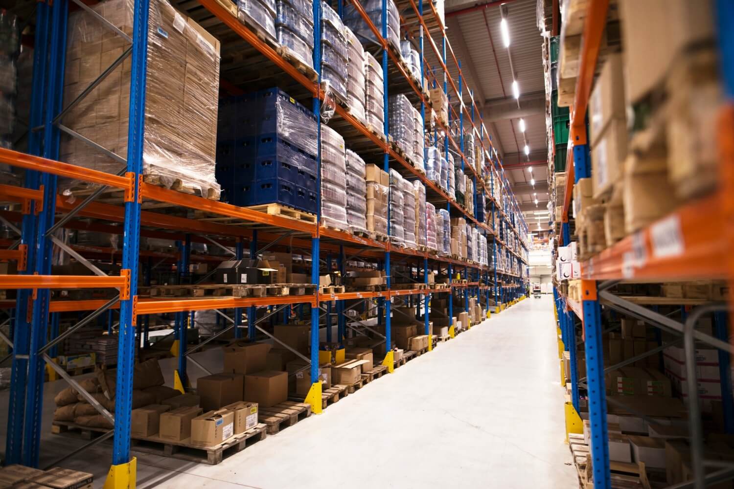 Difference between procurement and purchasing