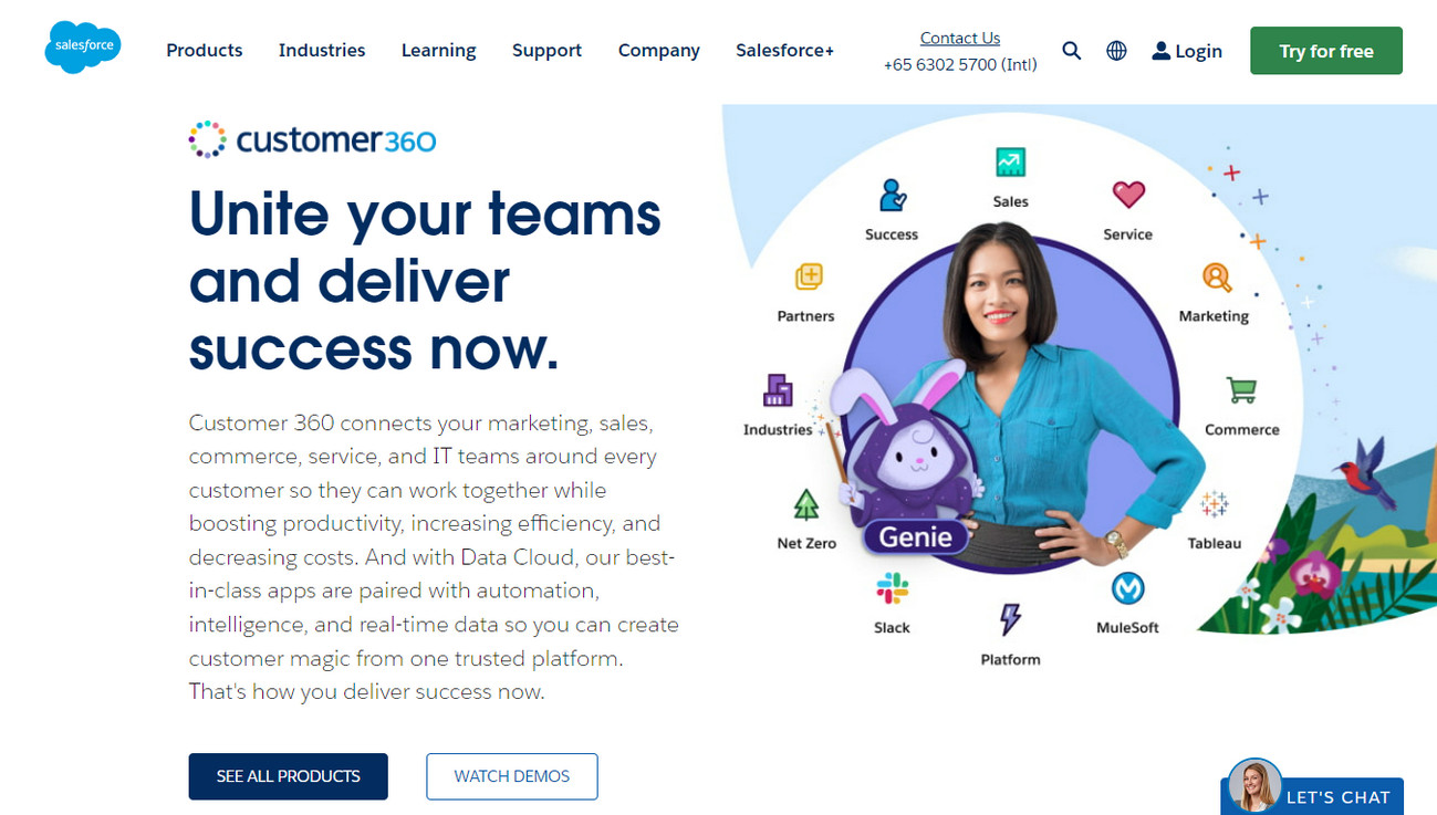 saleforce crm