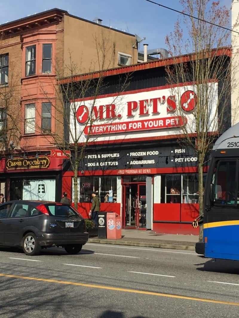 mrpets transfer from microsoft dynamics to magestore
