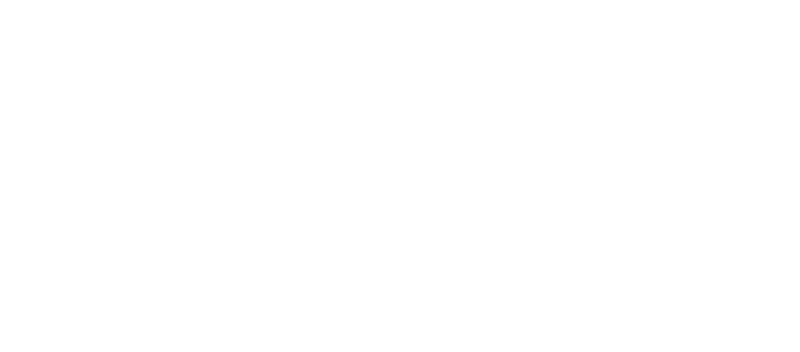 webkul-logo-white